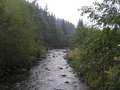 Lunca Bradului: skog, berg och vatten.